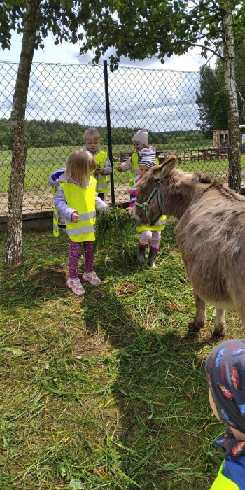 539375845_821641573532213_2487974439646458783_n