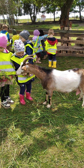 541615328_792727069875721_6424574035219144928_n