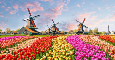 Podróż do Holandii