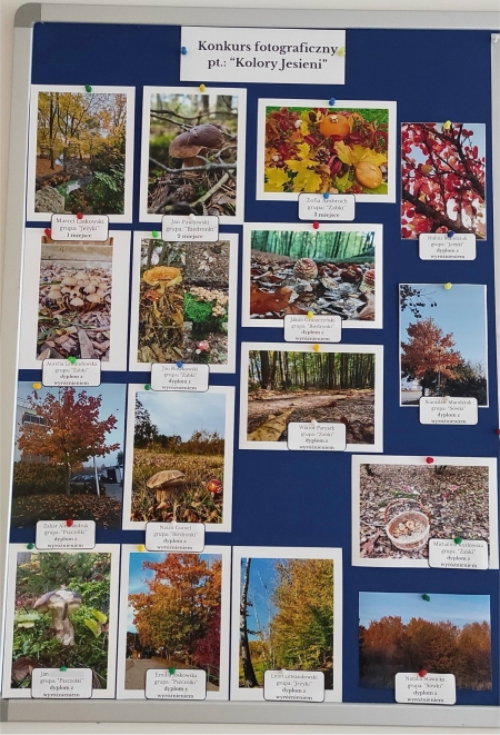 Rozstrzygnięcie konkursu fotograficznego pt.: ''Kolory Jesieni''