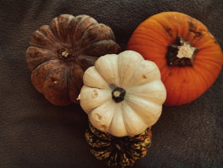 Dzień Dyni w grupie Żabki